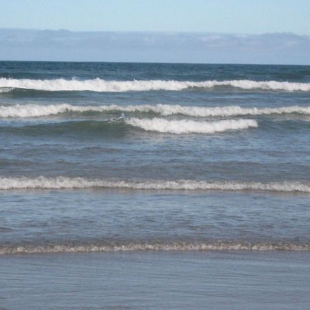 Ocean View Apartment: 300m to Beach & City Center Praia Grande  Exterior photo