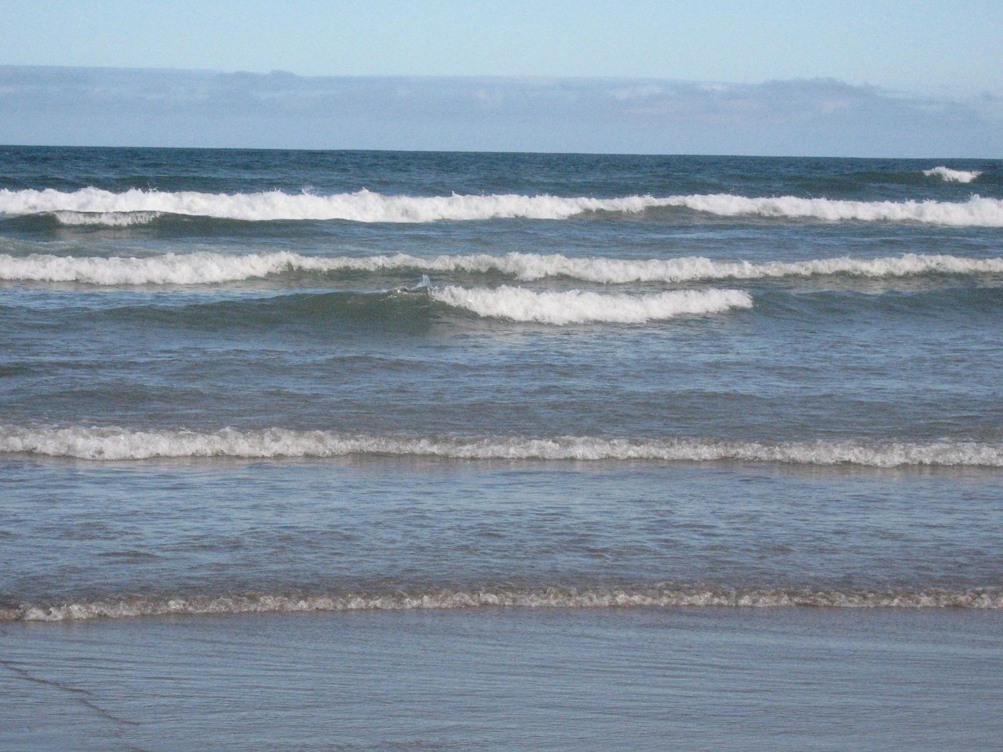 Ocean View Apartment: 300m to Beach & City Center Praia Grande  Exterior photo